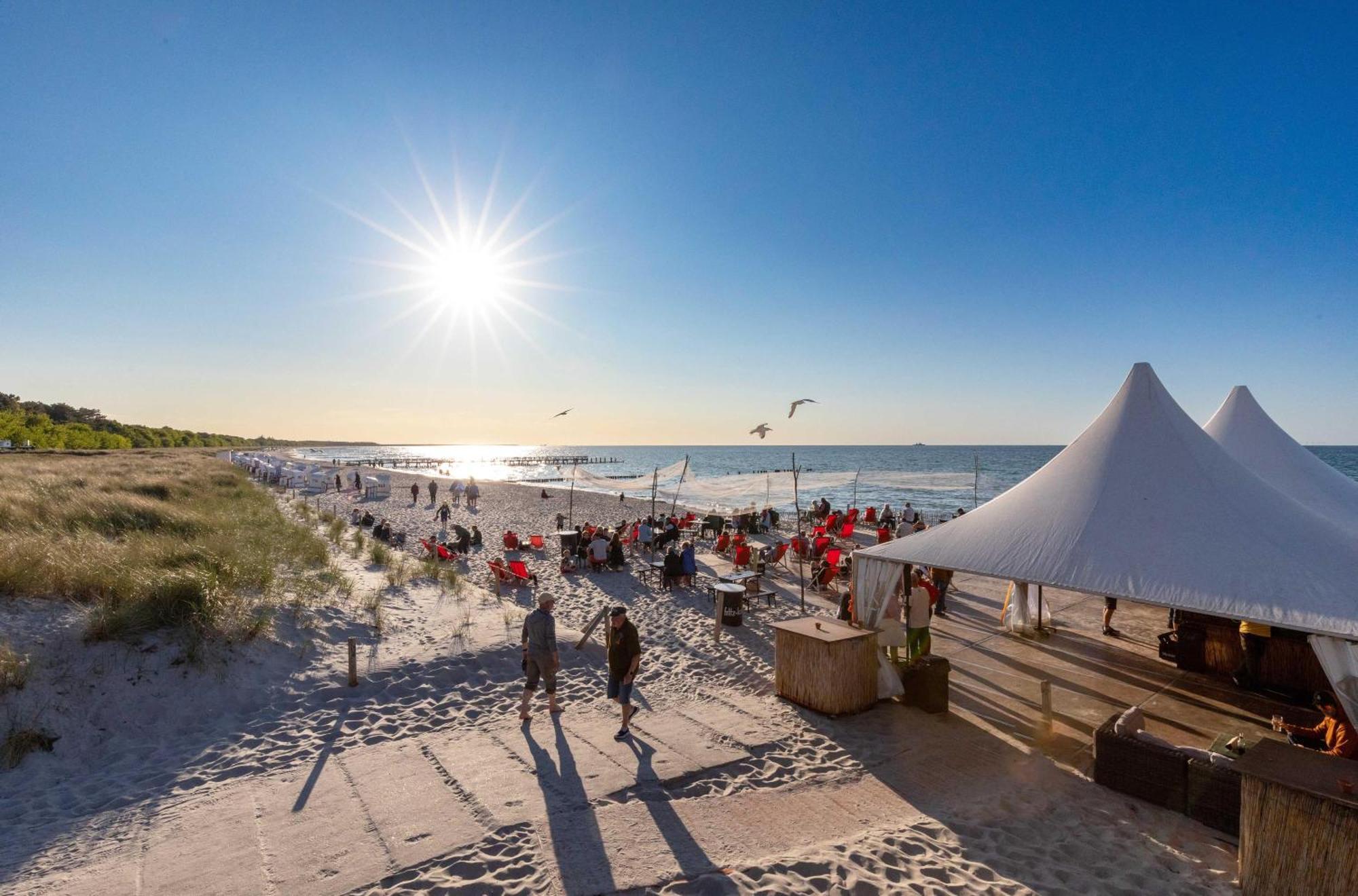 Seebaer Mit Terrasse Ostseeheilbad Ostseeheilbad Zingst Exterior foto